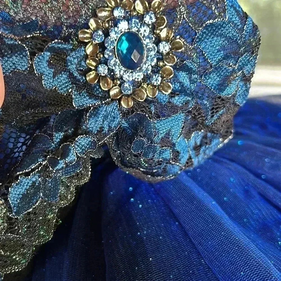 Sapphire Blue Lace & Sparkle Tulle Ballet Ballerina Tutu Dance Costume Dress - Picture 2 of 10